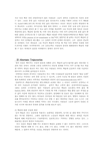 [사회복지] 인간의 죽음에 대한 연구-5