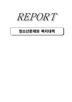 청소년 문제와 사회복지-1