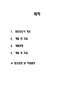 [국토 및 도시계획법] 광교신도시 개발계획-2