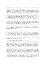드라마 속에 나타난 전형적인 여성상-3