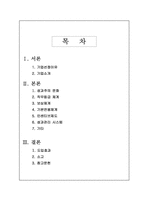국내기업 임금형태 사례보고서-2