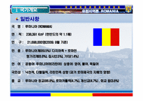[유럽지역론] 루마니아 조사-3