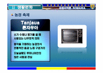 [유럽지역론] 루마니아 조사-8