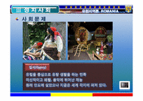 [유럽지역론] 루마니아 조사-15
