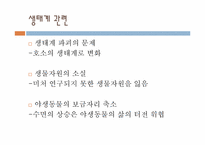 [환경윤리] 4대강유역 살리기-6
