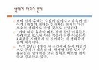 [환경윤리] 4대강유역 살리기-7