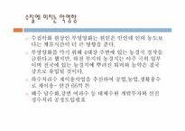 [환경윤리] 4대강유역 살리기-19
