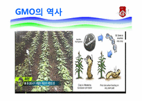 GMO와 식량난 레포트-5