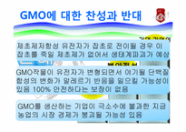 GMO와 식량난 레포트-10