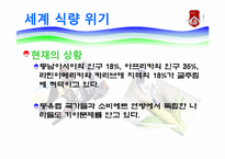 GMO와 식량난 레포트-12