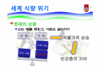 GMO와 식량난 레포트-14