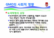 GMO와 식량난 레포트-18