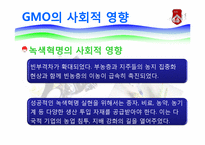 GMO와 식량난 레포트-19