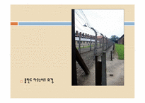 서양사 -나치대학살-20