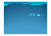 여성NGO 레포트-1