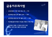 다국적 기업과 정부의 공생관계-13