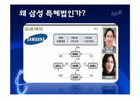 다국적 기업과 정부의 공생관계-15