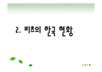 한국의 부동산 리츠 현황-8