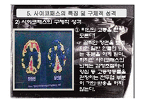 연쇄살인과 사이코패스 -유영철 사례를 중심으로-17