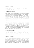 [뼈][골격][뼈대근][골격근][연골][관절]뼈(골격)의 형태, 뼈(골격)의 분류, 뼈(골격)와 뼈대근(골격근), 뼈(골격)와 연골의 종류, 뼈(골격)와 연골의 관계, 뼈(골격)와 관절에 관한 심층 분석-8