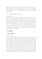 피아제와 비고츠키의 비교분석A+-8