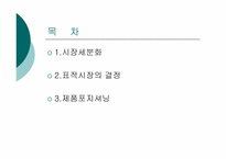 시장세분화와 제품포지셔닝-2