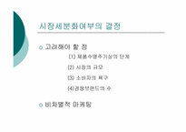 시장세분화와 제품포지셔닝-4