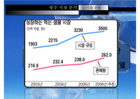 생수 사업계획서-4