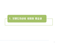 브랜드자산의 개념 및 관리-9