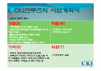 크루즈사업(대운하관광) 사업계획서-16