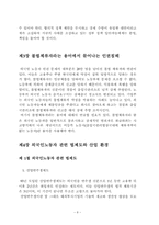 노마드로서의 외국인노동자의 인권 -법제도의 문제점 중심으로-8