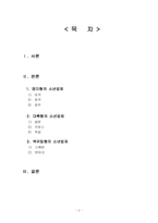 외국의 소년법제-2