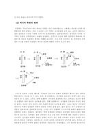 임경업전 문학적, 시대적 분석-7