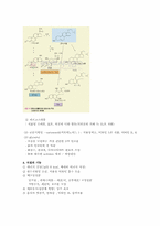 [식품] 지질 레포트-6