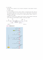[식품] 지질 레포트-11