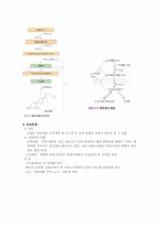 [식품] 지질 레포트-13