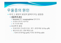 우울증을 위한 기능성 식품개발-9