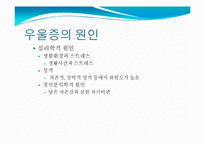우울증을 위한 기능성 식품개발-10