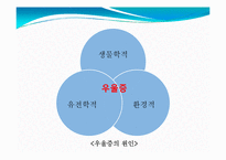 우울증을 위한 기능성 식품개발-11
