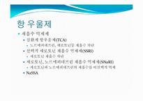 우울증을 위한 기능성 식품개발-18
