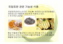 트립토판 관련 기능성식품-3