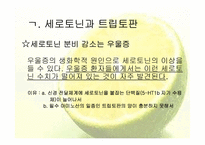 트립토판 관련 기능성식품-4