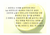 트립토판 관련 기능성식품-5