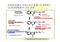 트립토판 관련 기능성식품-6