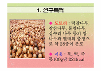 도토리의 연구와 기능성 식품 개발-3