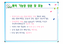 기능성 식품개발 -톳(Hizikia fusiforme)-7