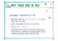 기능성 식품개발 -톳(Hizikia fusiforme)-8