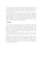 촛불집회 이대로 괜찮은가-3