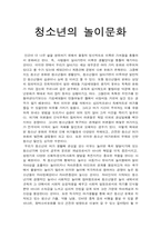 청소년의 놀이문화-1