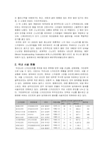 스노우보드활성화 방안-4